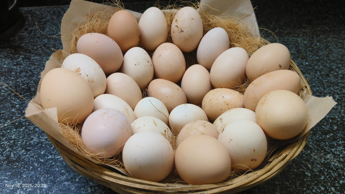 Organic Desi Eggs